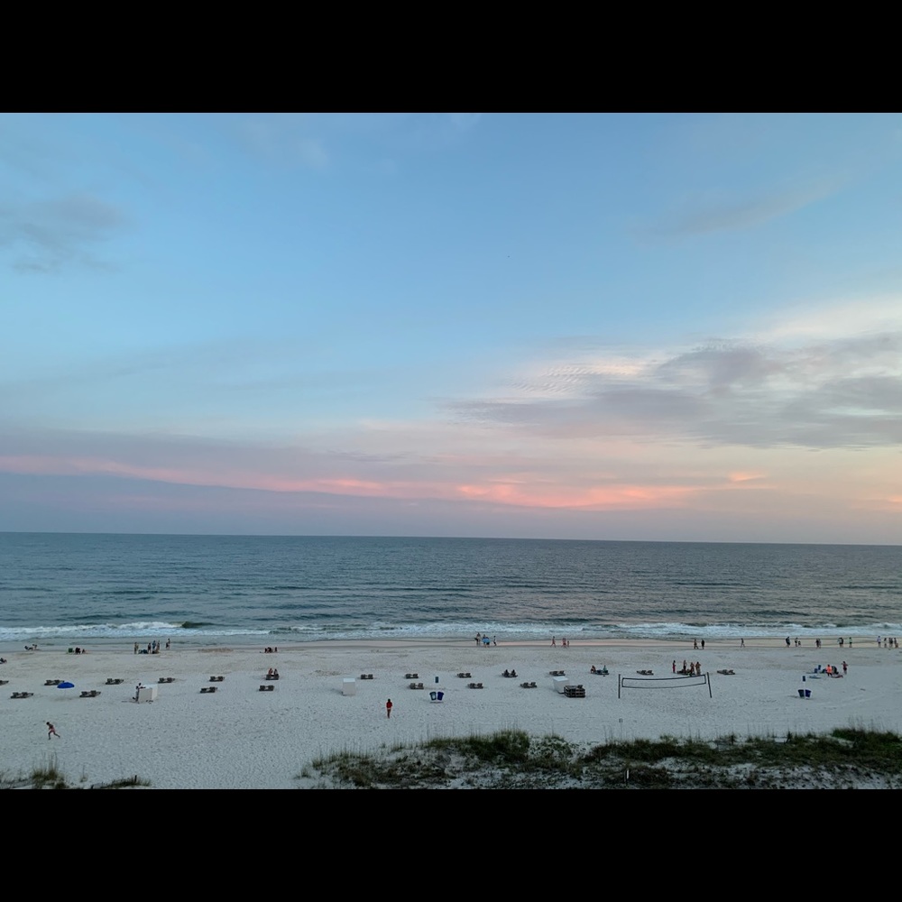 Meet your Posher, Sophie